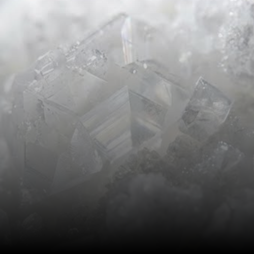 Micronized DHEA