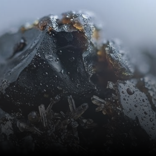 Shilajit PrimaVie®