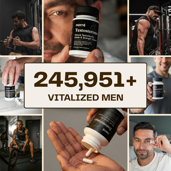Norré Labs - Testosterone+ - 12 ingredients
