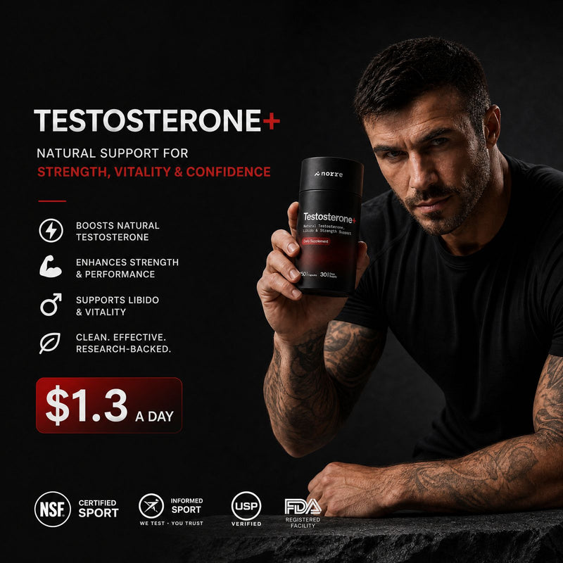 Norré® Testosterone+