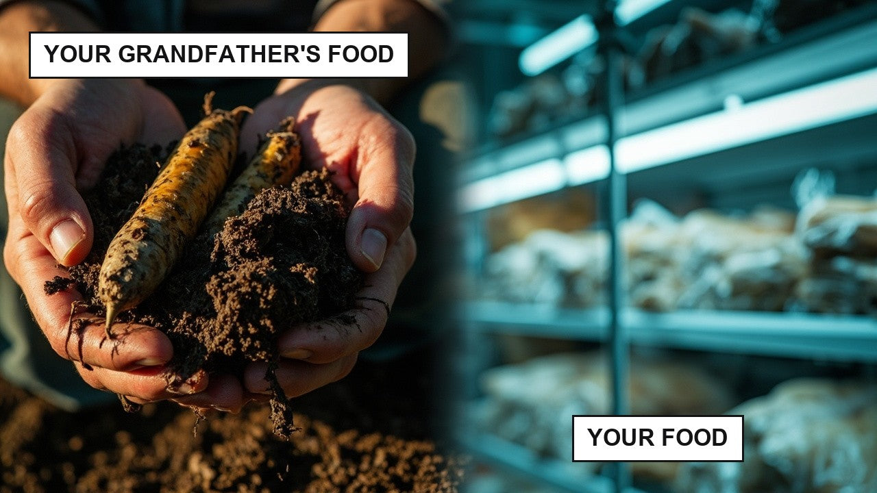 Your grandfather's food vs your food